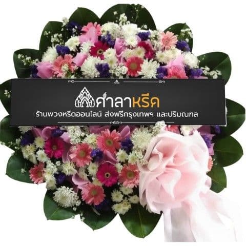M006 - ชวนชม