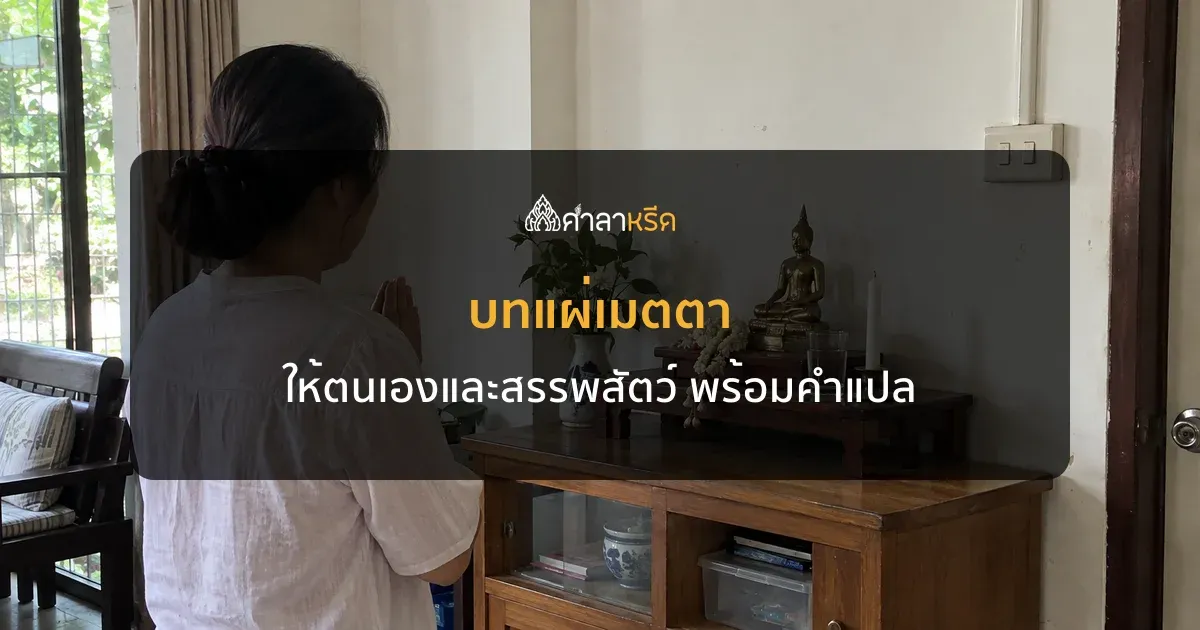 บทแผ่เมตตา ให้ตนเอง สรรพสัตว์ เจ้ากรรมนายเวร พร้อมคำแปลและวิธีแผ่เมตตา