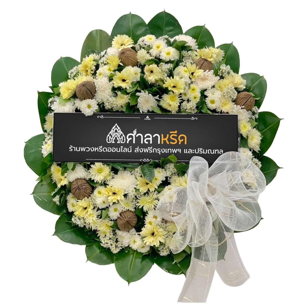 M012 - มริษฎดา