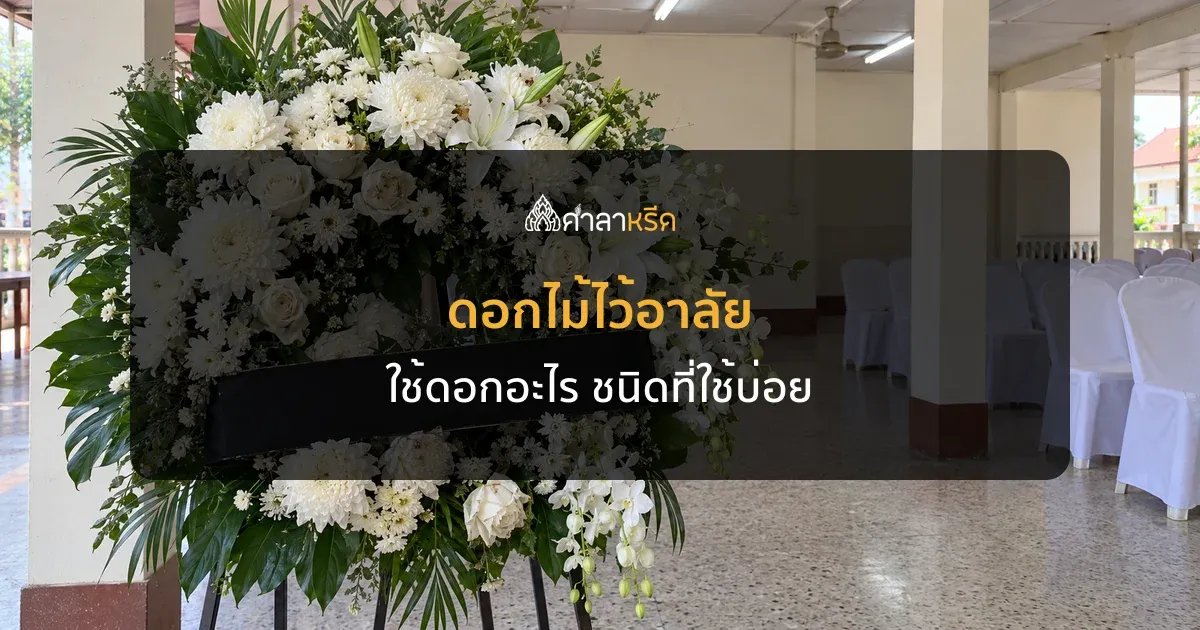 ดอกไม้ไว้อาลัย ใช้ดอกอะไร รวมชนิดดอกไม้ในพวงหรีดและงานศพที่ใช้บ่อย
